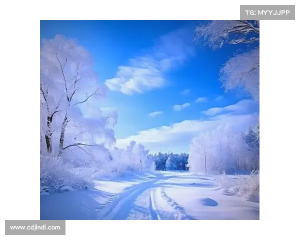 冬日湖畔雪景中的诗意时光如何打磨与体验自然的静谧与温暖 冬日湖畔雪景中的诗意时光如何打磨与体验自然的静谧与温暖