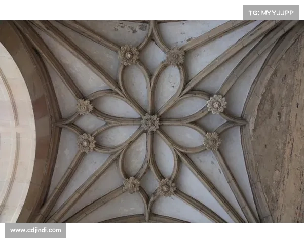 乌青颜料的历史渊源与艺术创新之旅探析 乌青颜料的历史渊源与艺术创新之旅探析