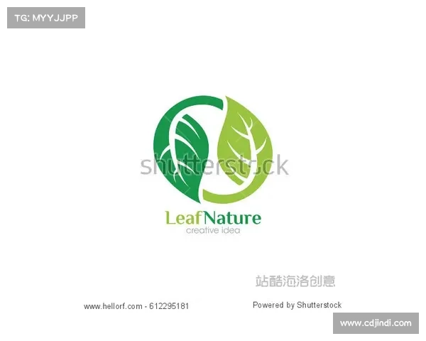 围绕法甲冠军标志五大设计要素的深度创新美学价值体系解析全面篇